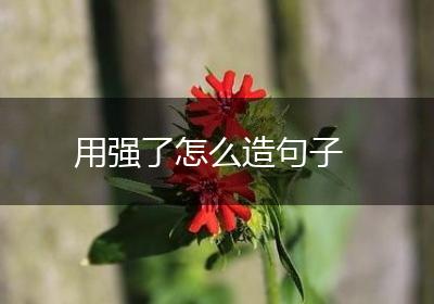 用强了怎么造句子