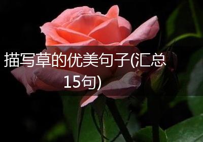 描写草的优美句子(汇总15句)