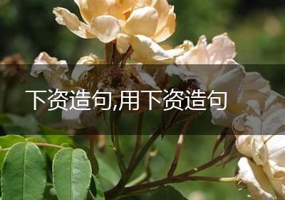下资造句,用下资造句