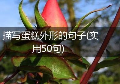 描写蛋糕外形的句子(实用50句)
