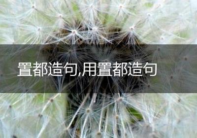 置都造句,用置都造句