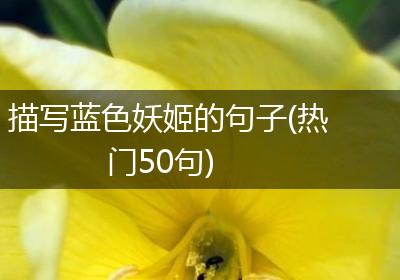 描写蓝色妖姬的句子(热门50句)