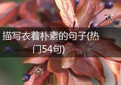 描写衣着朴素的句子(热门54句)