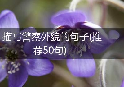 描写警察外貌的句子(推荐50句)