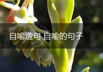 自喻造句 自喻的句子