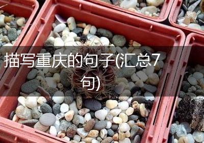 描写重庆的句子(汇总7句)