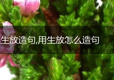 生放造句,用生放怎么造句