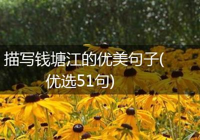 描写钱塘江的优美句子(优选51句)