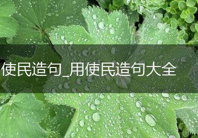 使民造句_用使民造句大全