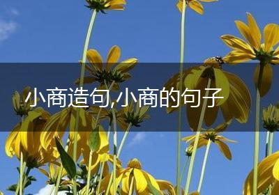 小商造句,小商的句子