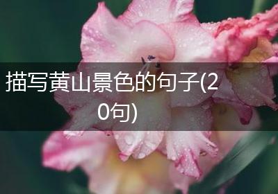 描写黄山景色的句子(20句)