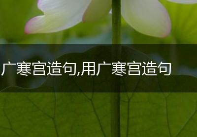 广寒宫造句,用广寒宫造句