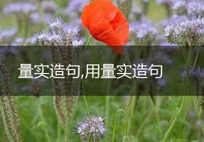 量实造句,用量实造句