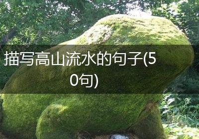 描写高山流水的句子(50句)