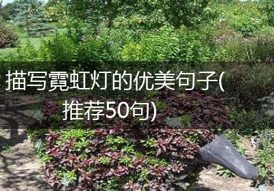 描写霓虹灯的优美句子(推荐50句)