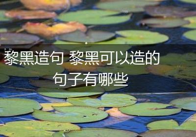 黎黑造句 黎黑可以造的句子有哪些