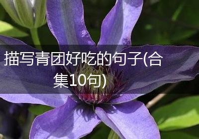 描写青团好吃的句子(合集10句)