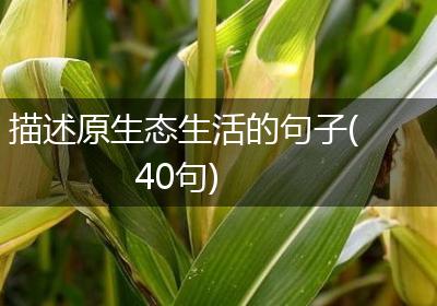 描述原生态生活的句子(40句)