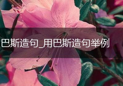 巴斯造句_用巴斯造句举例