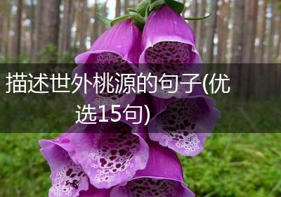 描述世外桃源的句子(优选15句)