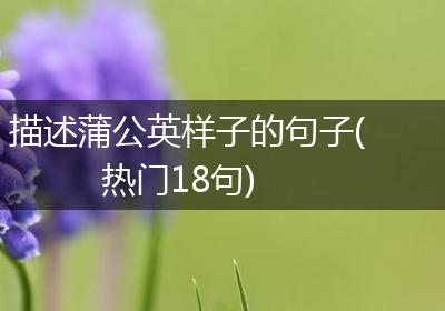 描述蒲公英样子的句子(热门18句)