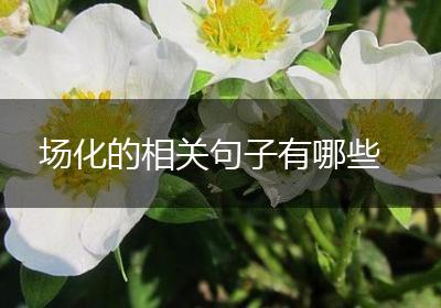 场化的相关句子有哪些