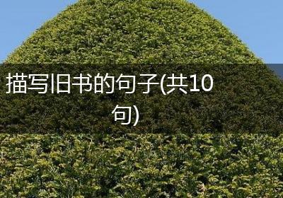 描写旧书的句子(共10句)