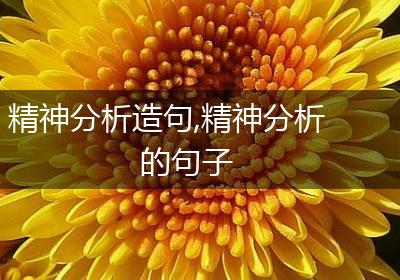 精神分析造句,精神分析的句子