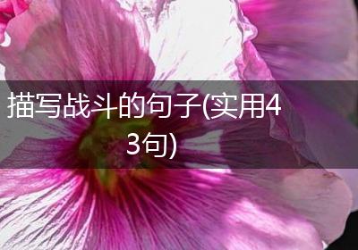 描写战斗的句子(实用43句)