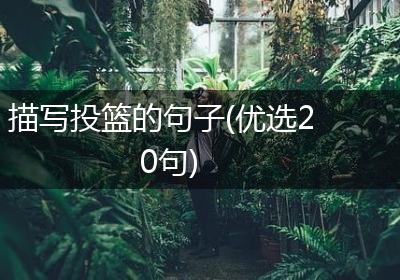 描写投篮的句子(优选20句)