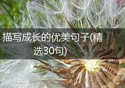 描写成长的优美句子(精选30句)