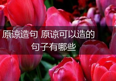原谅造句 原谅可以造的句子有哪些