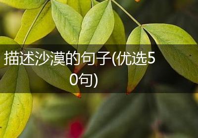 描述沙漠的句子(优选50句)