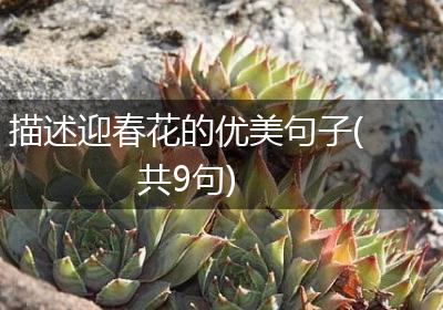 描述迎春花的优美句子(共9句)