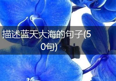 描述蓝天大海的句子(50句)