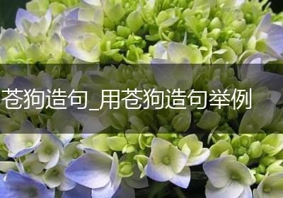 苍狗造句_用苍狗造句举例