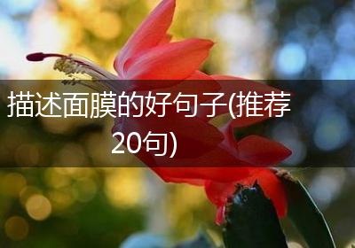描述面膜的好句子(推荐20句)