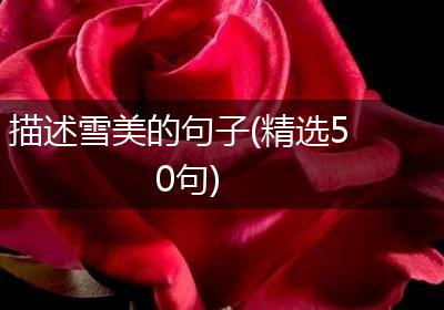 描述雪美的句子(精选50句)