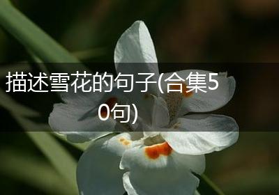 描述雪花的句子(合集50句)