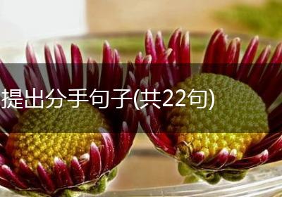 提出分手句子(共22句)