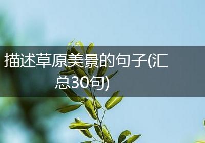 描述草原美景的句子(汇总30句)