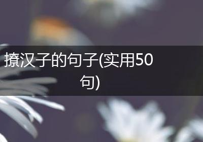 撩汉子的句子(实用50句)