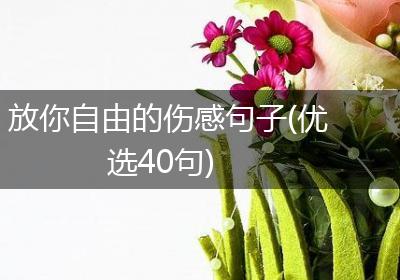 放你自由的伤感句子(优选40句)