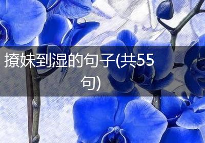 撩妹到湿的句子(共55句)