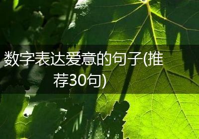 数字表达爱意的句子(推荐30句)