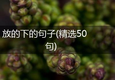 放的下的句子(精选50句)