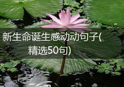 新生命诞生感动动句子(精选50句)