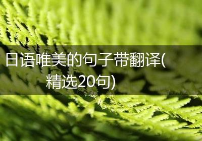 日语唯美的句子带翻译(精选20句)