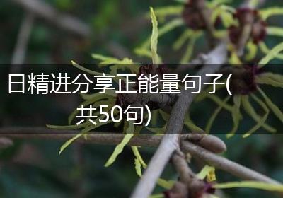 日精进分享正能量句子(共50句)