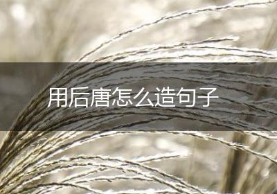 用后唐怎么造句子